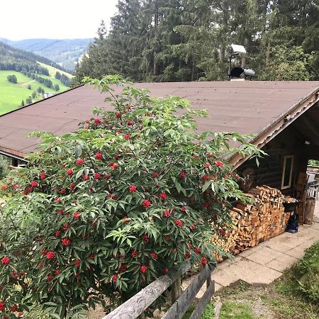 Wasserfallhuette Saalbach Buitenkant foto